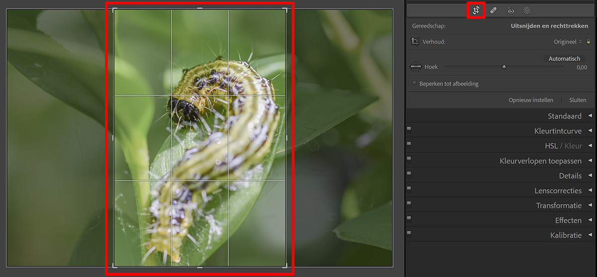 Horizontale foto verticaal maken in Adobe Lightroom